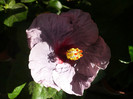 P1180201