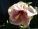 P1180202