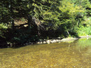 DSC00078