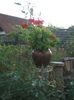 DSCF0547
