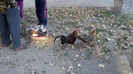 DSC04174