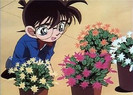 conan 4