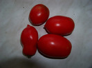 Tomate San Marzano_?