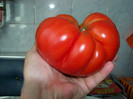 Grasa romaneasca record