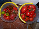 Recolta 20 august 2012