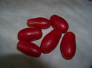 San Marzano2
