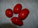 San Marzano4