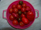 Soiuri tomate 2012
