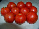 Tigerella1