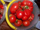 Tomate 20 august 2012