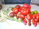 Tomate cu fasole la metru_O