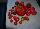 Tomate din gradina noastra 2012_1