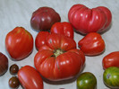 Tomate din gradina noastra 2012_8