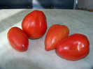 Tomate soiuri