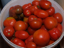 Tomate_recolta 01 Septembrie 2012 (7)