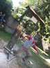 DSCF9397