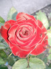 Photo0679
