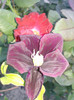 Photo0682