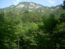 DSCN0753