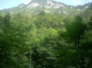 DSCN0755