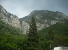 DSCN0781