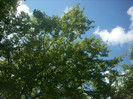 DSCN0804