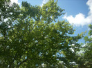 DSCN0805