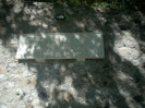 DSCN0817