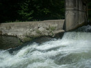DSCN0833