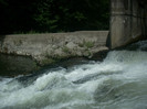 DSCN0834