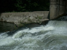 DSCN0835