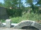 DSCN0854