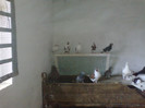 07092012983