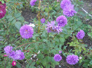 DSCN3308