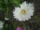 DSCN3312