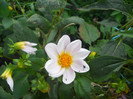 DSCN3264