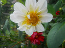DSCN3265