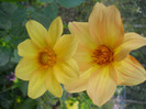 DSCN3266