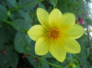 DSCN3268