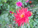 DSCN3270