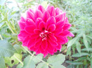 DSCN3271
