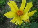 DSCN3273