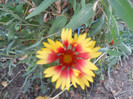 DSCN3274
