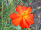 DSCN3279