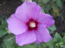 DSCN3285