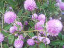 DSCN3301