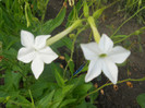 DSCN3302