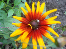 DSCN3303
