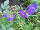 DSCN3304
