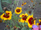 DSCN3306